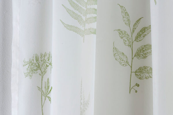 Bracken leaf - Image 5
