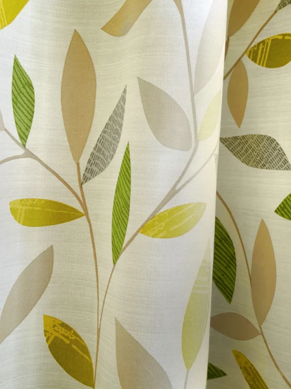 BEECHWOOD - Image 3