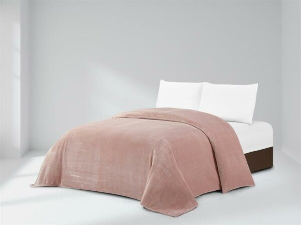 CASENA - Imagen 2