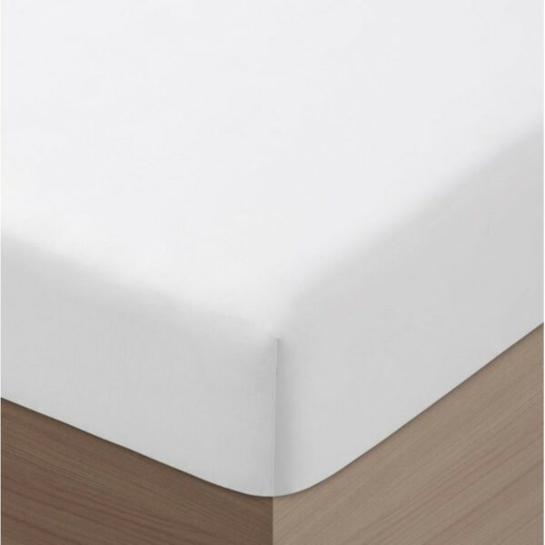 200TC FITTED HOST. SHEET - Imagen 2