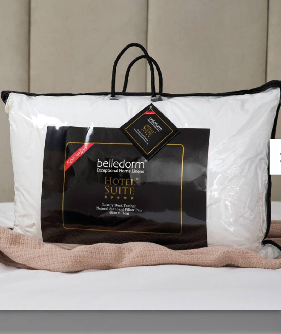 LUXURY HOTEL DUCK FEATHER PILLOW PAIR